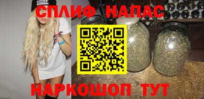 ешки Бийск
