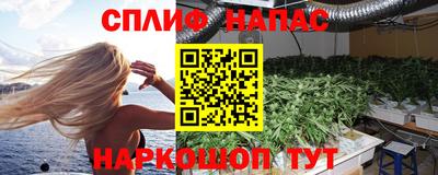 ешки Бийск