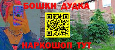 ешки Бийск