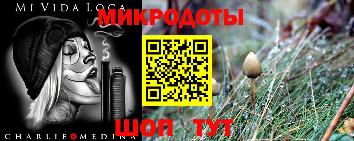 Заводоуковск  Псилоцибиновые грибы мицелий  Вход с VPN  Галлюциногенные грибы ЛСД 